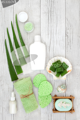 Image of Aloe Vera Skincare and Health Care