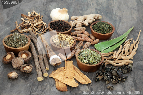 Image of Adaptogen Herbs and Spices