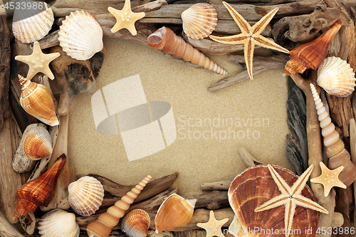 Image of Abstract Seashell and Driftwood Background