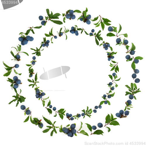 Image of Abstract Sloe Berry Wreath