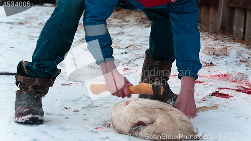 Image of Man cuts off the wings on the goose carcass winter