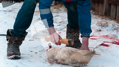 Image of Man cuts off the wings on the goose carcass winter