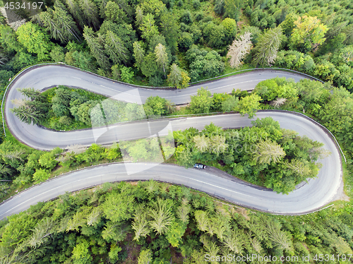 Image of Curvy road in forest