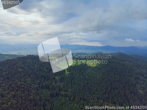 Image of Aerial view of green forest