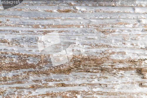 Image of tree bark or wooden surface background