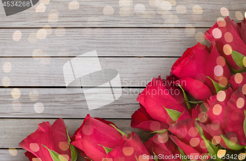 Image of close up of red roses on white background