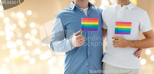 Image of close up of male gay couple holding rainbow flags