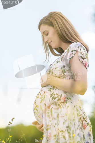 Image of Beautiful pregnant woman in white summer dress in meadow full of yellow blooming flovers.