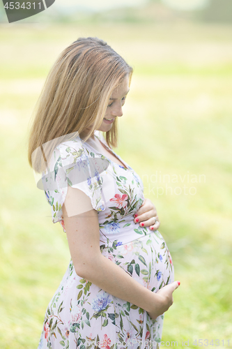 Image of Beautiful pregnant woman in white summer dress in meadow full of yellow blooming flovers.