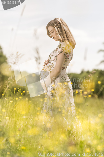 Image of Beautiful pregnant woman in white summer dress in meadow full of yellow blooming flowers.