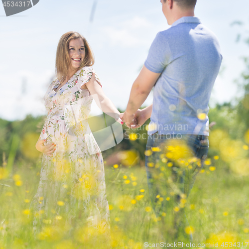 Image of Young happy pregnant couple in love holding hands, relaxing in meadow.