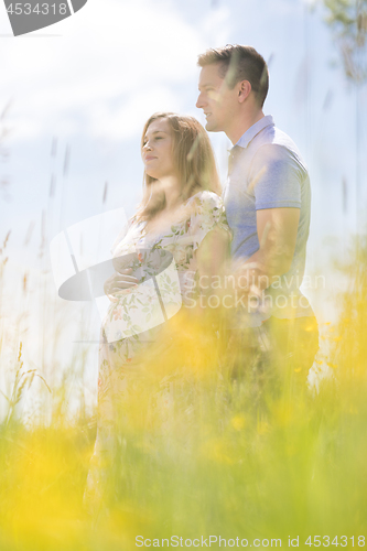 Image of Young happy pregnant couple hugging in nature.