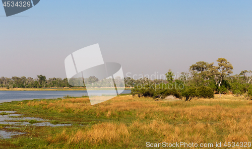 Image of Moremi game reserve, Okavango delta, Africa Botswana