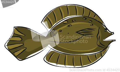 Image of Clipart of a winter flounder fish/Pseudopleuronectes americanus 