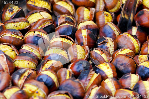 Image of Chestnut