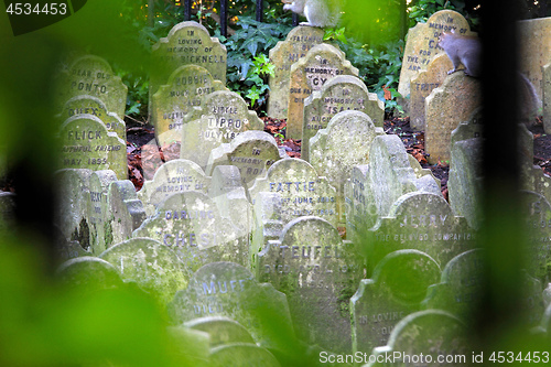 Image of Pets Graveyard