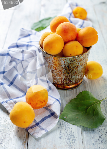 Image of Ripe apricots in a metal bucket.