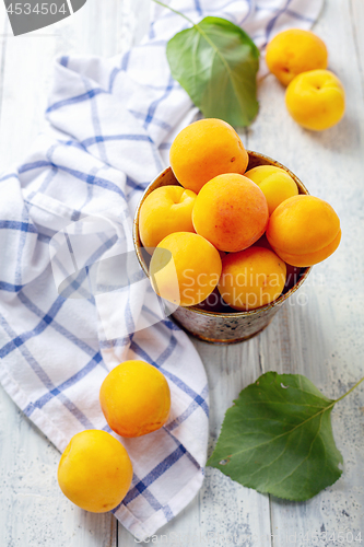 Image of Organic juicy apricots in an old bucket.