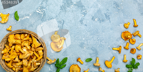 Image of  Raw wild mushrooms chanterelles in basket.