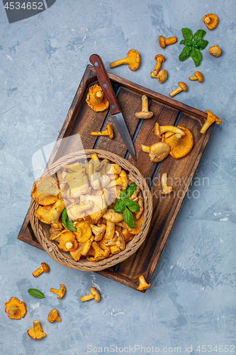 Image of Forest mushrooms chanterelles in a wicker basket.