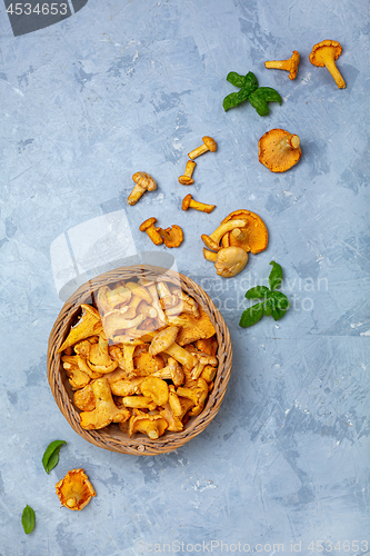 Image of Raw forest mushrooms chanterelles in a basket.