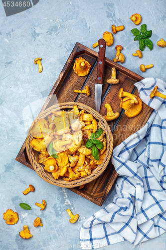 Image of Chanterelles in a wicker basket.