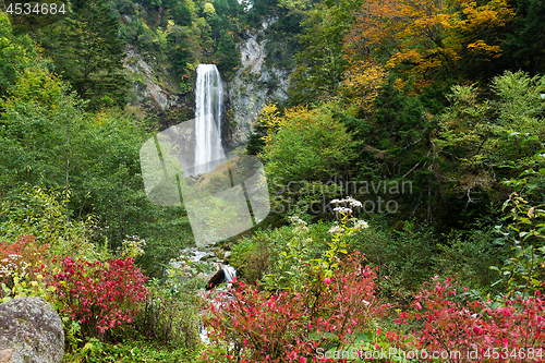 Image of Waterfall in autumn