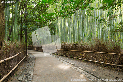 Image of Bamboo groves of Arashiyama