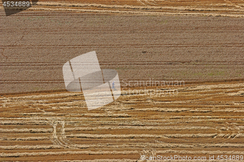 Image of Aerial View: man in wheat field