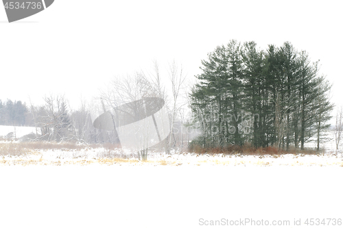 Image of Winter cold day in Ontario Canada 