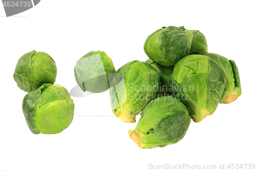 Image of Brussels sprouts (Cabbage) 