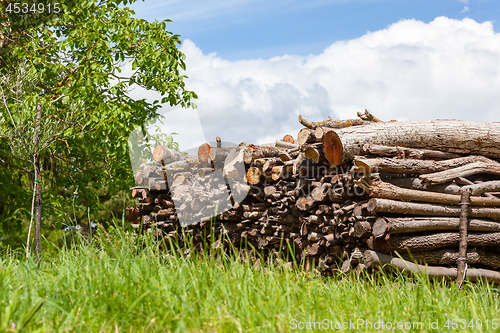 Image of batch of fire wood in the green grass meadow