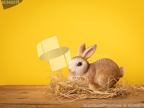 Image of sweet easter bunny figure yellow background