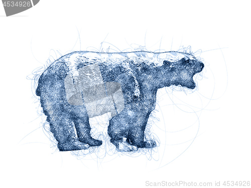 Image of Angry Bear Ballpoint Pen Doodle Illustration