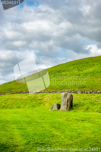 Image of green grass meadow background in Ireland