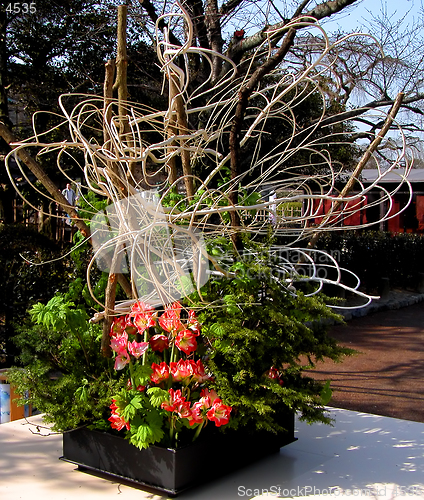 Image of Japanese flower arrangement-ikebana