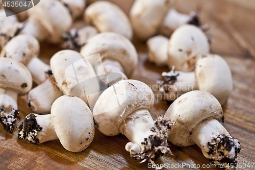 Image of Fresh raw organic champignons on a wooden table.