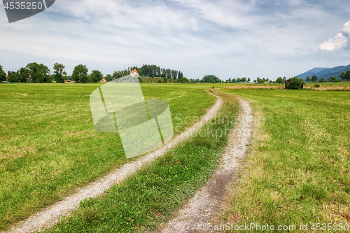 Image of bavaria landscape green meadow