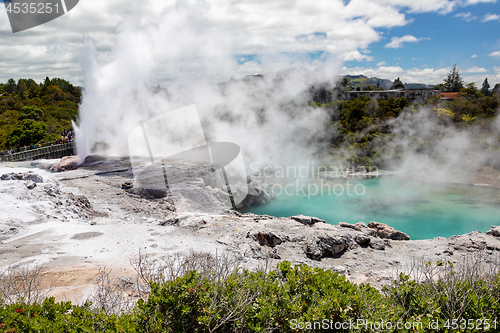 Image of Geyser in New Zealand Rotorua