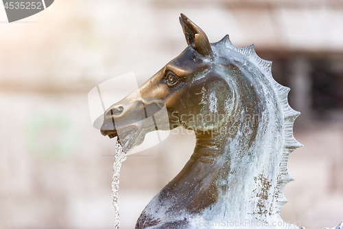 Image of fountain in Ascoli Piceno