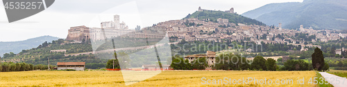 Image of Assisi in Italy Umbria golden field panorama