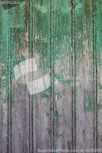 Image of Old wooden green door grunge texture.