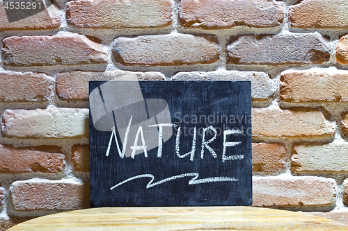 Image of Chalk board with the word NATURE drown by hand and chalks on woo