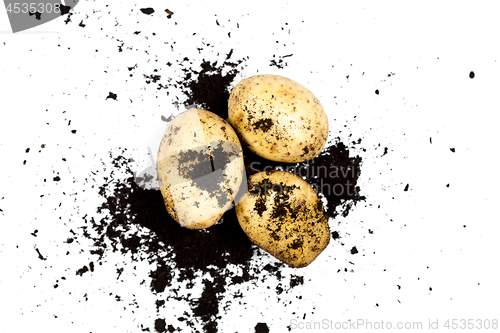 Image of Fresh organic potatoes and soil isolated on white background.