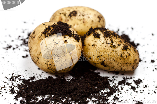 Image of Newly harvested potatoes and soil isolated on white background.