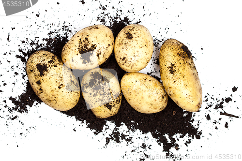 Image of Fresh organic potatoes and soil isolated on white background.