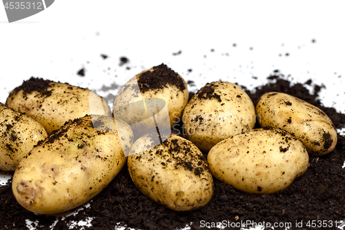 Image of Newly harvested potatoes and soil closeup on white background.