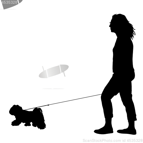 Image of Silhouette of woman and dog on a white background