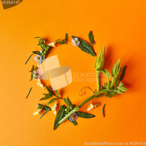 Image of a round frame of flowers and leaves