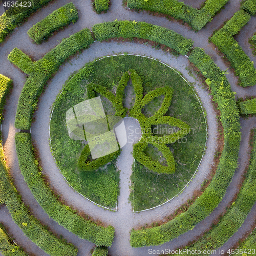 Image of Round form of a labyrinth of sheared bushes, top view from the drone. Topiary art.